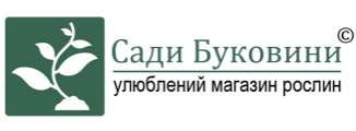 Сади Буковини